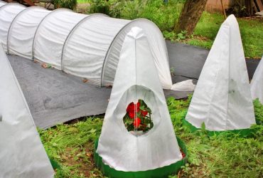 Что и когда накрыть на зиму в саду: защищаем растения от заморозков