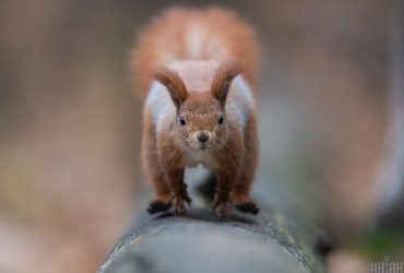 Сьогодні погода вразить українців контрастами температур (карта)