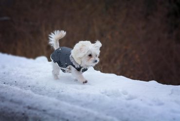Во вторник погода в Украине стабилизируется (карта)