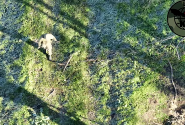 Український БПЛА привів у полон вагнерівця на Донбасі (відео)