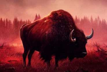 Понад 80 видів тварин в Україні перебувають на межі зникнення через війну (фото)