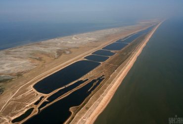 Россияне жестоко убивают редких птиц на Арабатской Стрелке - депутат