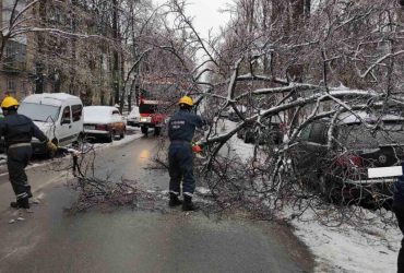 В Киеве ледяной дождь сломал две сотни деревьев, которые упали на авто и трамвайные пути (фото)