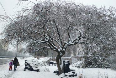 Киевлян предупредили о сильном снегопаде: что не стоит делать