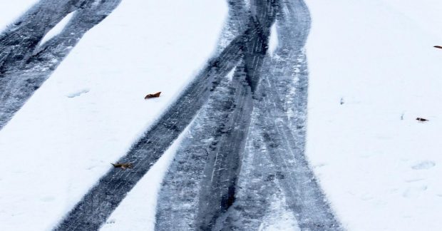 на 2 лютого синоптики оголосили І рівень небезпеки