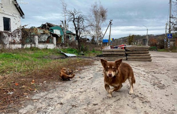 Война в Украине: астролог насторожила прогнозом на ближайшие дни