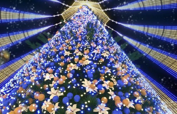 На Софійській площі у Києві встановлюють головну ялинку країни (відео)