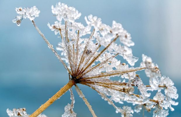 7 февраля: какой народный праздник и приметы погоды, что нельзя делать