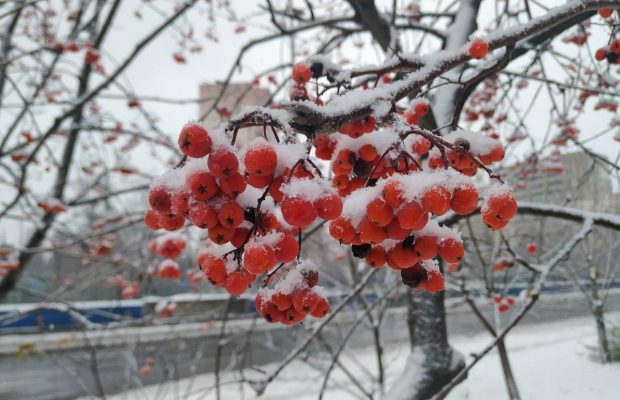 28 листопада: народне свято сьогодні, прикмети погоди і заборони