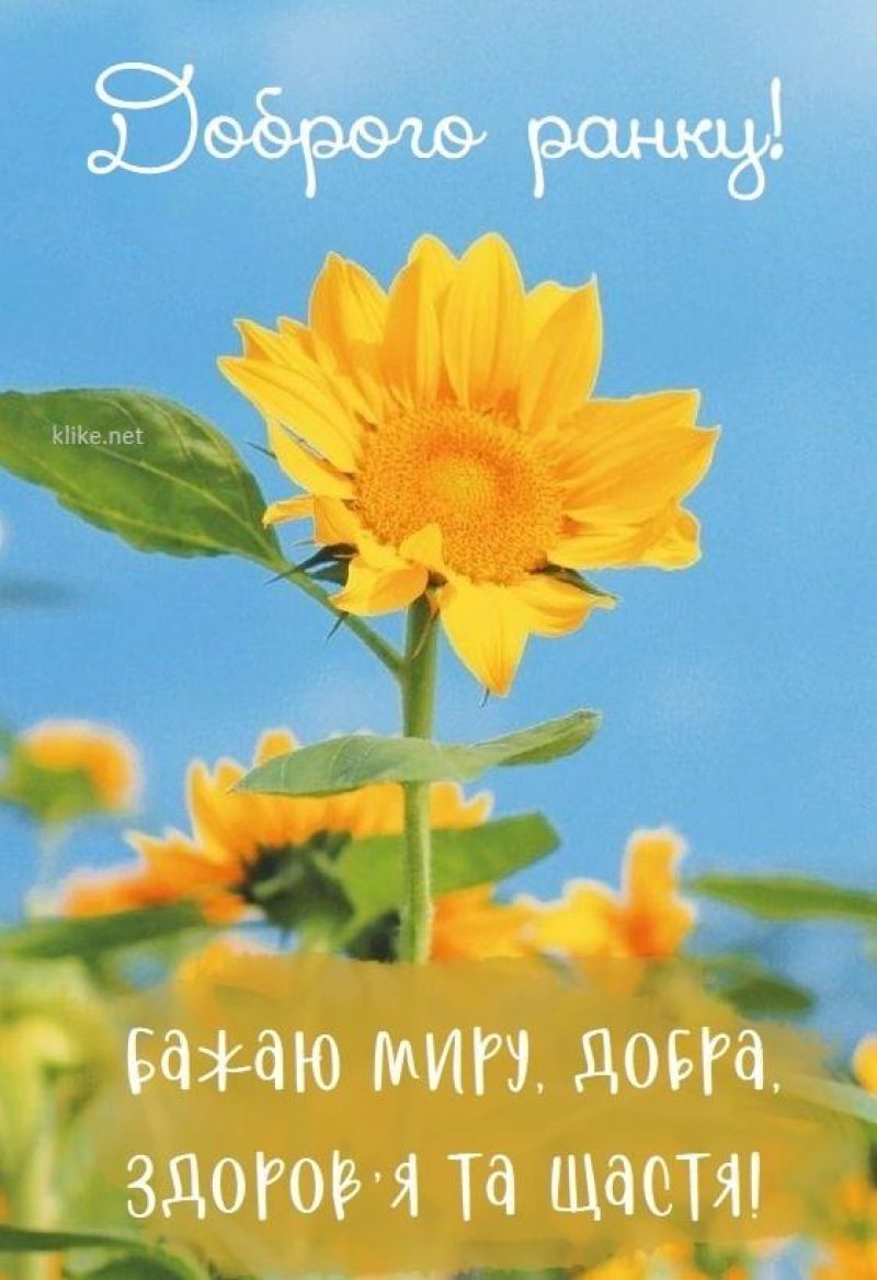 Листівки з добрим ранком - красиві привітання з початком дня — УНІАН