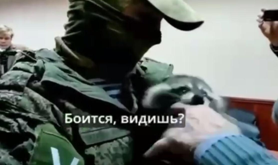 Вкрадений у Херсоні єнот вкусив колаборанта Сальдо (відео) Вкрадений у Херсоні єнот вкусив колаборанта Сальдо (відео)