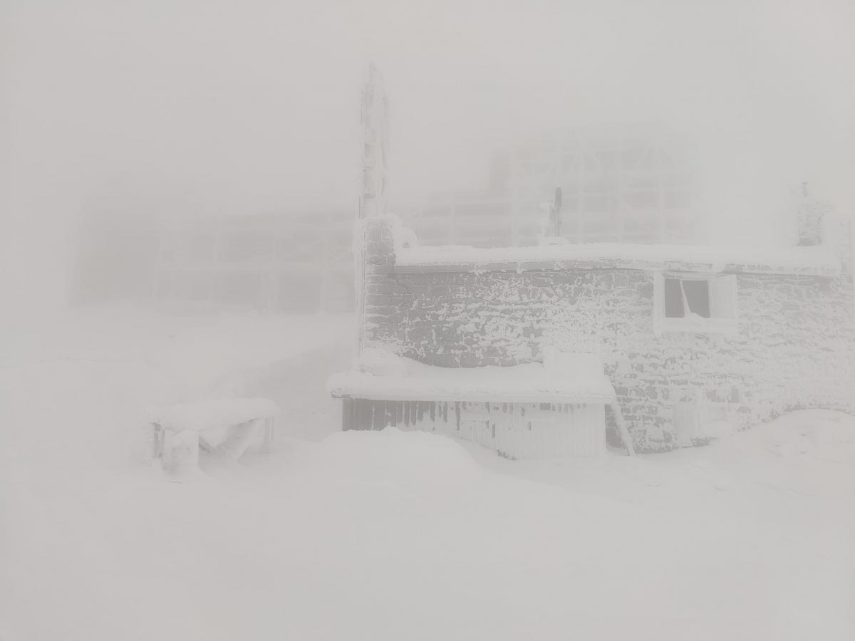 Погода в Карпатах сегодня / фото Черногорский горный поисково-спасательный пост