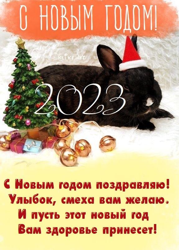 Happy New Year 2023 pictures / klike.net photo
