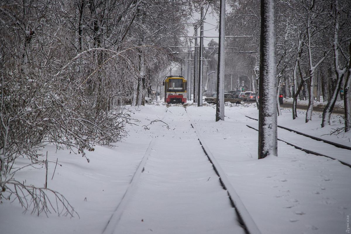 В Одесі знову курсуватиме міський електротранспорт  / фото dumskaya.net