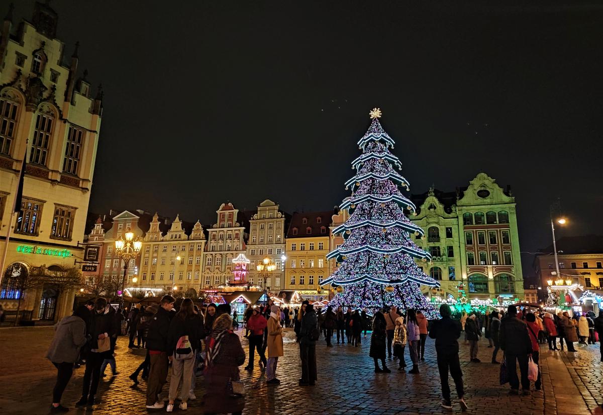 Главная рождественская елка во Вроцлаве / фото Марина Григоренко