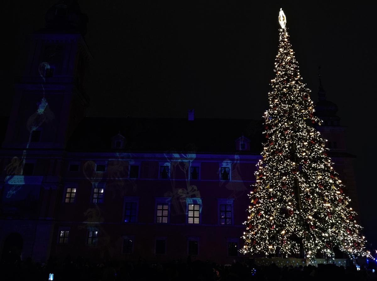 Рождественская елка в Варшаве в 2022 году / фото Марина Григоренко