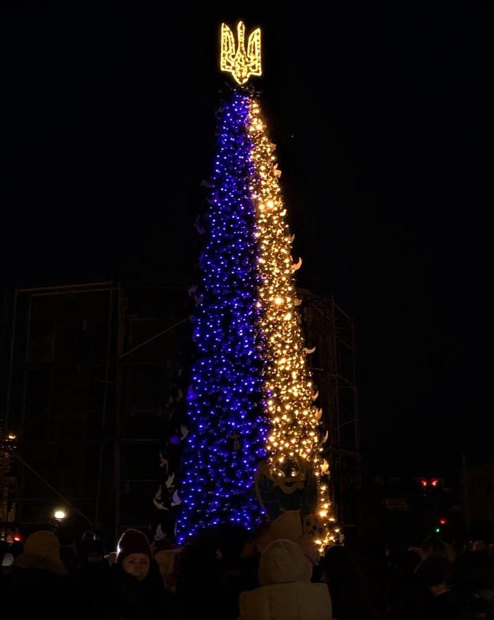 В Киеве официально зажгли главную новогоднюю елку страны (фото)
