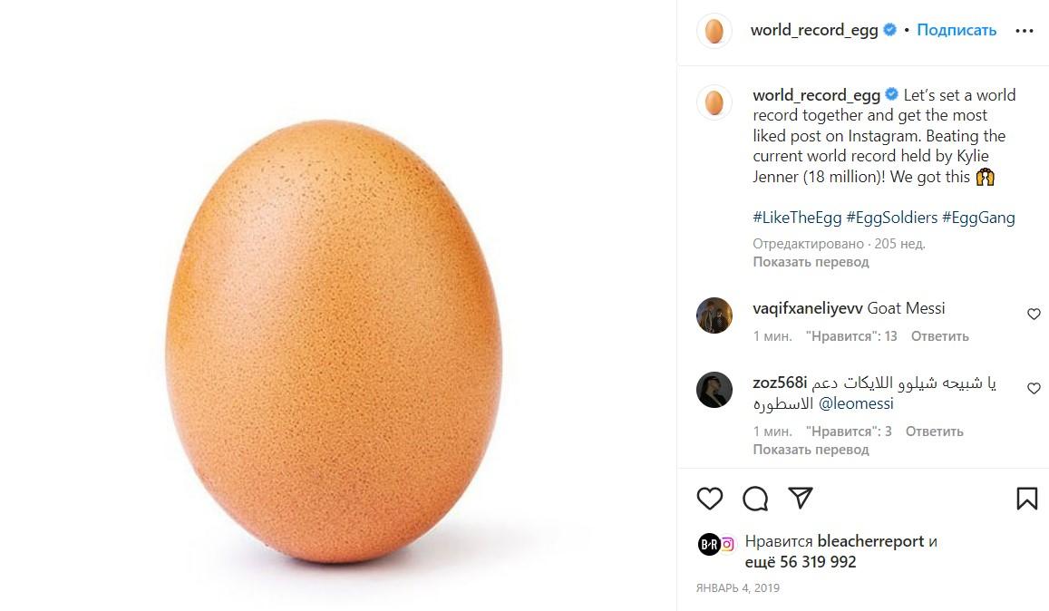 instagram.com/world_record_egg