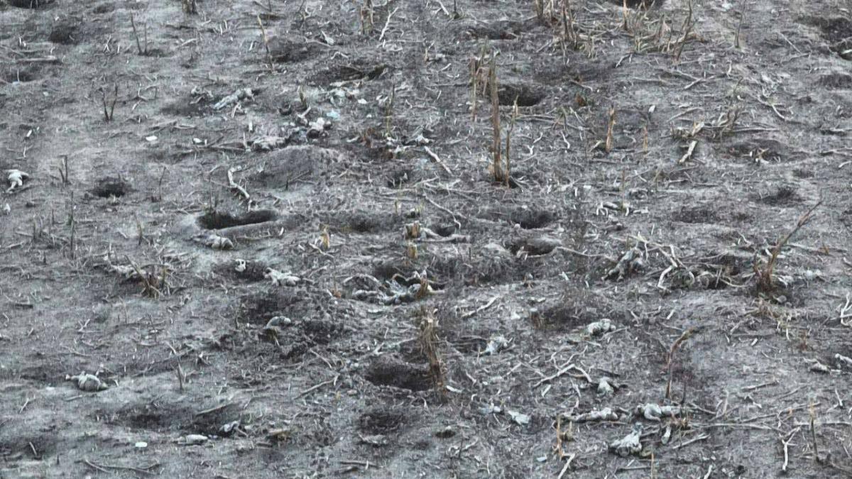 'Усе всіяно трупами росіян': у мережі показали фото з околиць Бахмута 'Усе всіяно трупами росіян': у мережі показали фото з околиць Бахмута