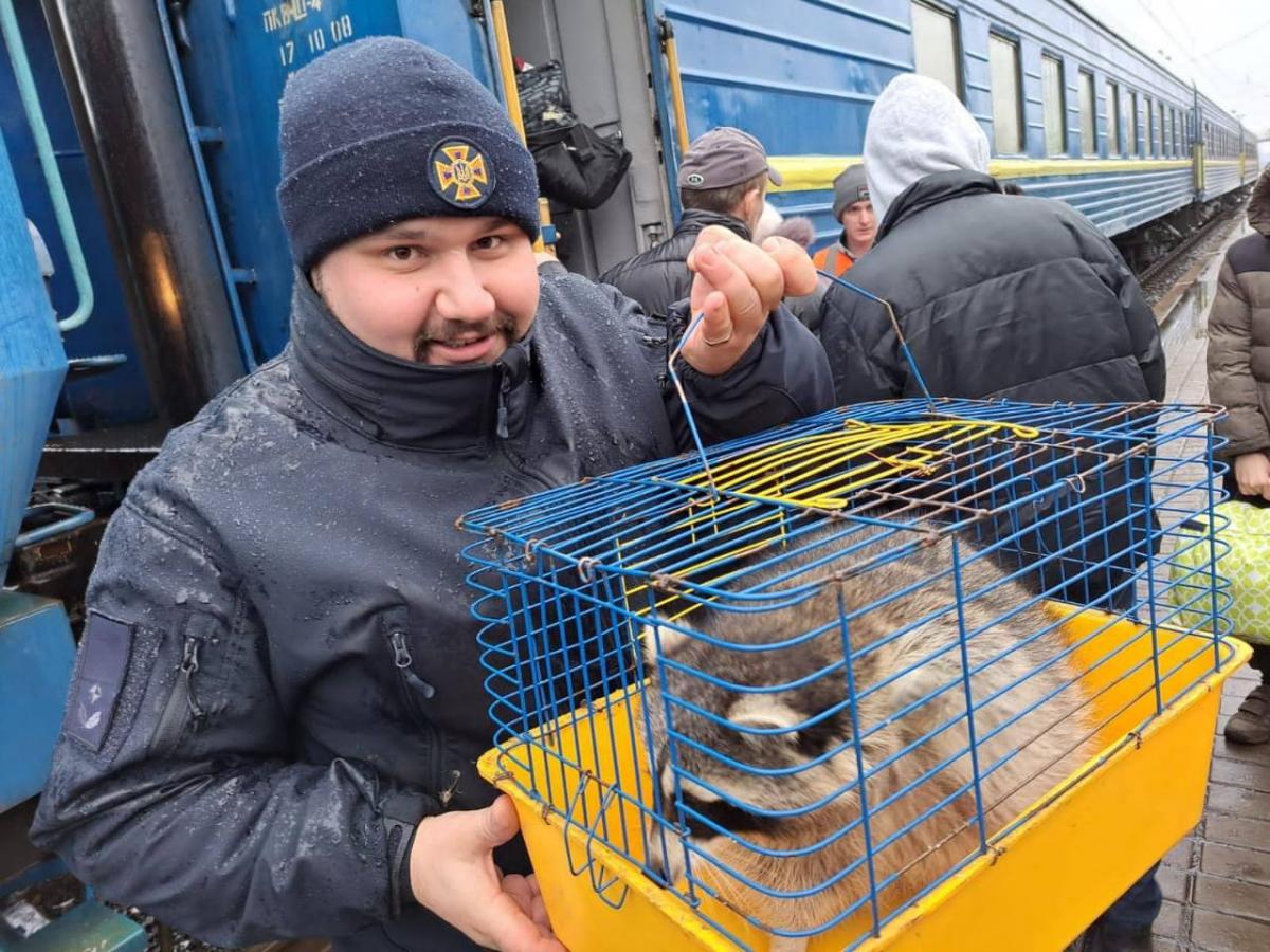 В Донецкой области спасли полосатого зверя / фото ГСЧС В Донецкой области спасли полосатого зверя / фото ГСЧС