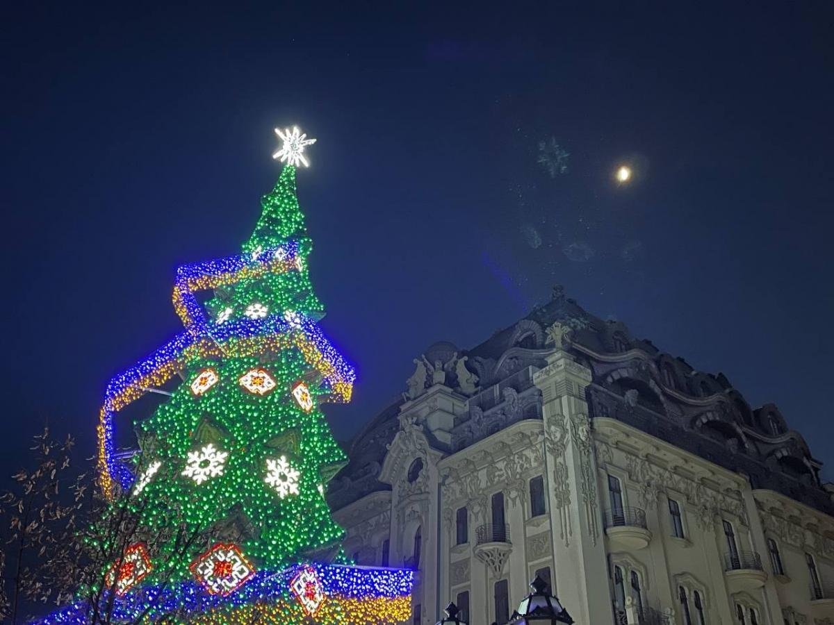 Высота главной елки - 20 метров, ширина - 9 / фото omr.gov.ua Высота главной елки - 20 метров, ширина - 9 / фото omr.gov.ua