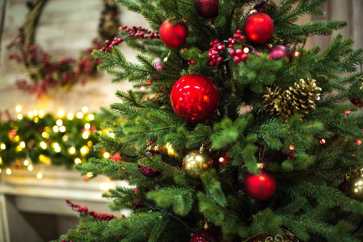 Главные тренды — 2024: как украсить новогоднюю елку в год Зеленого Дракона