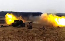 Українські військові вистежили та покарали росіян-мародерів, які "полювали" на гусака (відео)