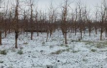 Ракетний удар по Україні: одна з ракет впала на території Молдови (фото)