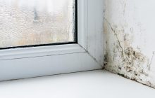 Як позбутися чорного грибка на вікнах та підвіконні: 4 ефективні засоби
