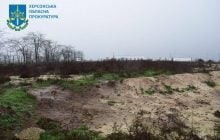 Наслідки окупації: птахофабрика у Чорнобаївці перетворилася на місце масового поховання птахів