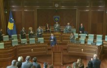Хаотическое вмешательство депутатов в международную политику играет исключительно в пользу врагов Украины - эксперт