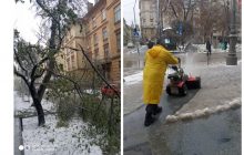 Негода у Львові: впало понад 100 дерев, пошкоджена електромережа (фото)