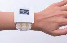 Гаджет дня: "живий" смарт-годинник, який треба годувати вівсом і напувати водою (відео)