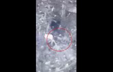 Високоточний "Екскалібур" влетів в окоп росіян, поки ті "полювали" на дрон (відео)