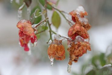 Синоптикиня розповіла, чим небезпечні сильні квітневі заморозки в Україні