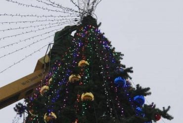 В Керчи появилась елка в сине-желтых цветах: оккупанты обещают разобраться