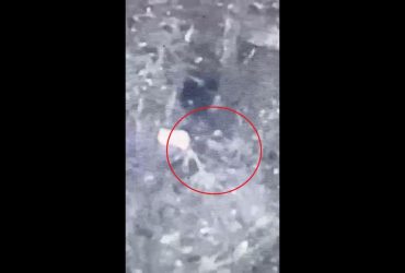 Високоточний Екскалібур влетів в окоп росіян, поки ті полювали на дрон (відео)