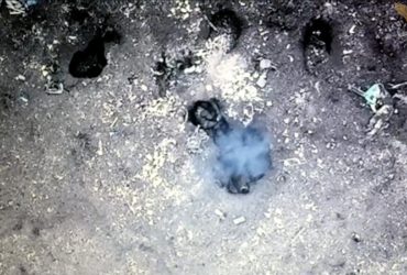 Россиянин в отчаянии после прилетов ВСУ добил себя сам (видео)