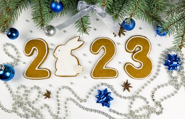 Поробки на Новий Рік 2023: легкі ідеї, чим зайняти себе напередодні свят