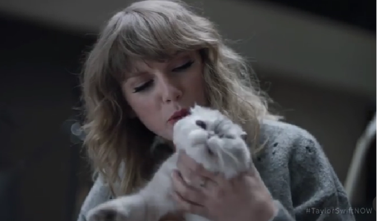 Тейлор Свифт с кошкой Оливией / instagram.com/taylorswift Тейлор Свифт с кошкой Оливией / instagram.com/taylorswift