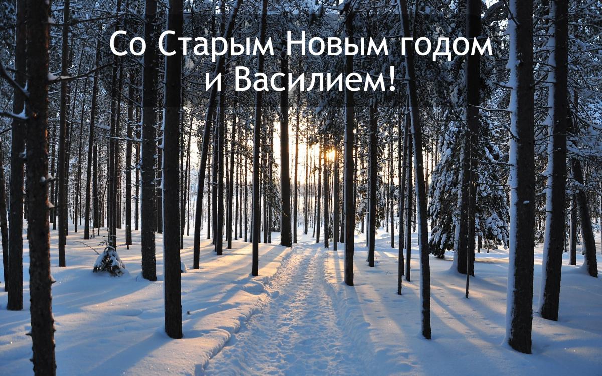 День Василия 2023 / klike.net День Василия 2023 / klike.net