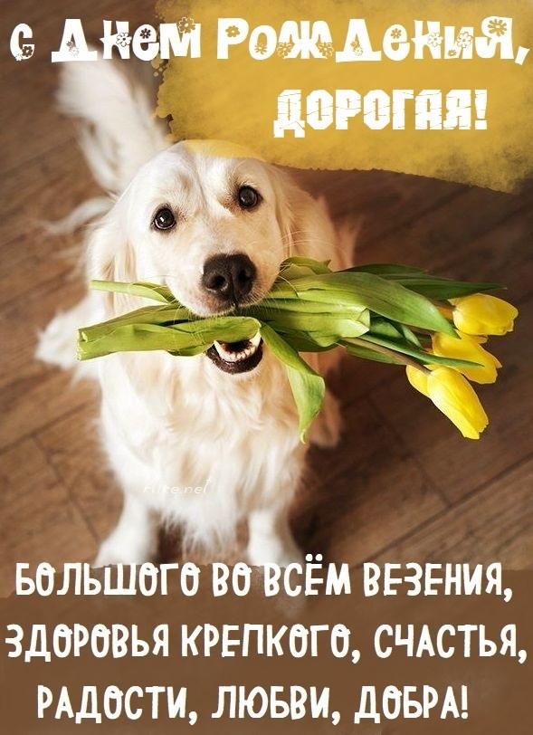 С днем рождения женщине картинки / фото klike.net С днем рождения женщине картинки / фото klike.net