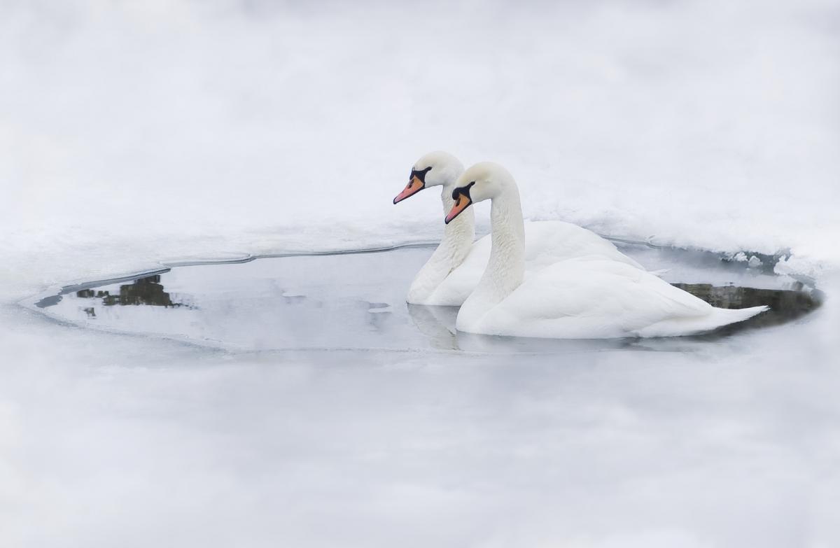 Погода на Водохреща / фото ua.depositphotos.com Погода на Водохреща / фото ua.depositphotos.com