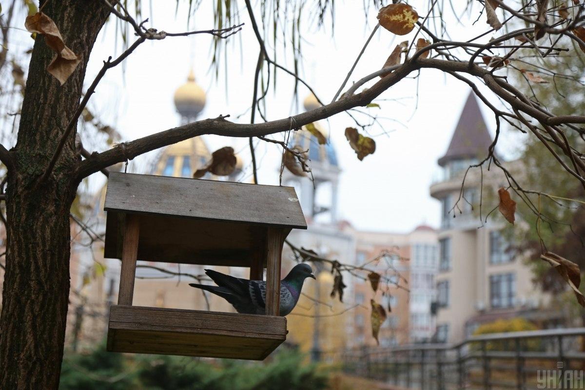 Погода будет контрастной: синоптик рассказала, кому повезет провести теплые выходные