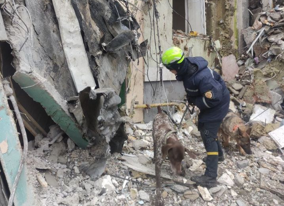 У першу ніч пошуково-рятувальних робіт собаки обстежили близько 500 кв. м завалів / фото прес-служба ДСНС