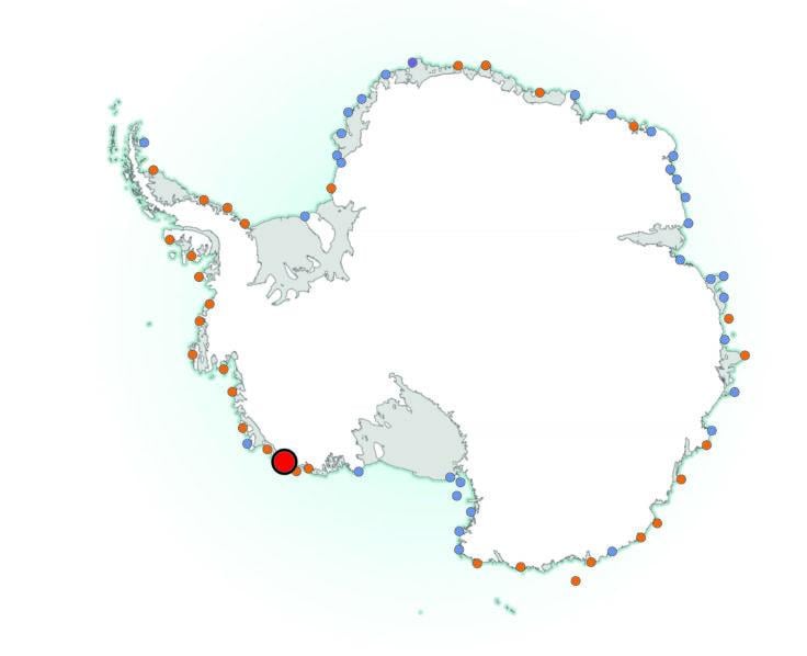 Відомо вже 66 колоній імператорських пінгвінів, половина з яких знайдена за допомогою супутникових знімків / інфографіка bas.ac.uk