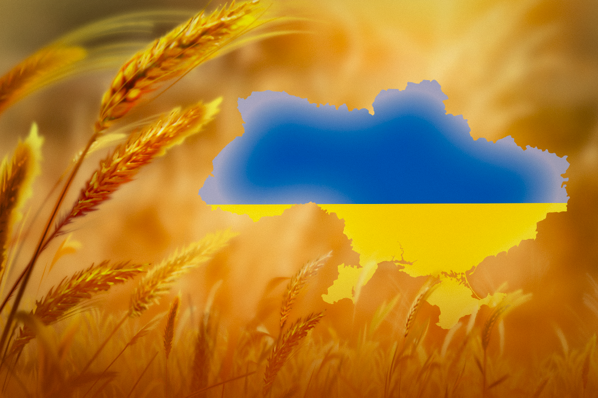 Assembly Day of Ukraine 2023 / 