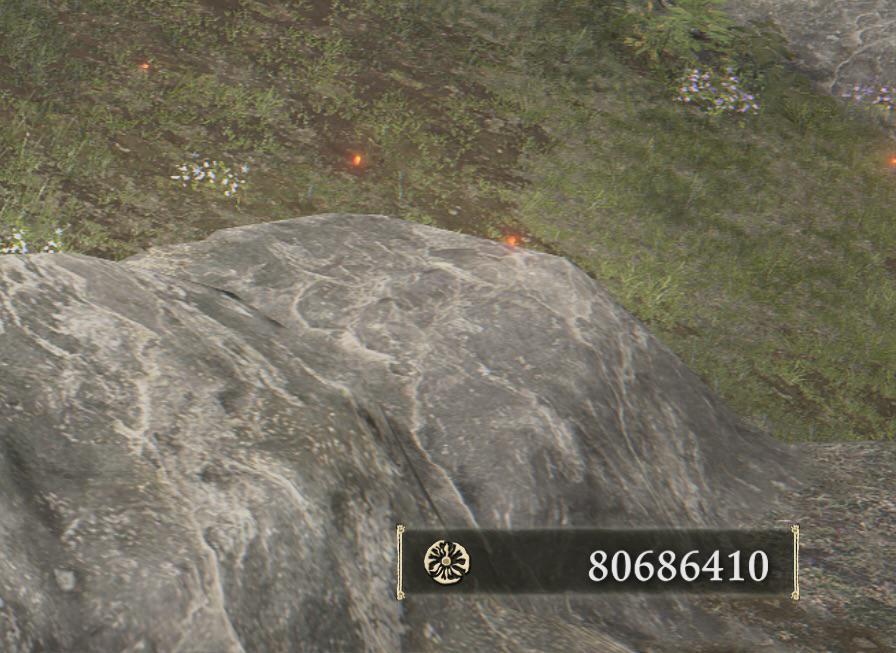 Огромное состояние: игрок в Elden Ring накопил более 80 миллионов рун (фото)