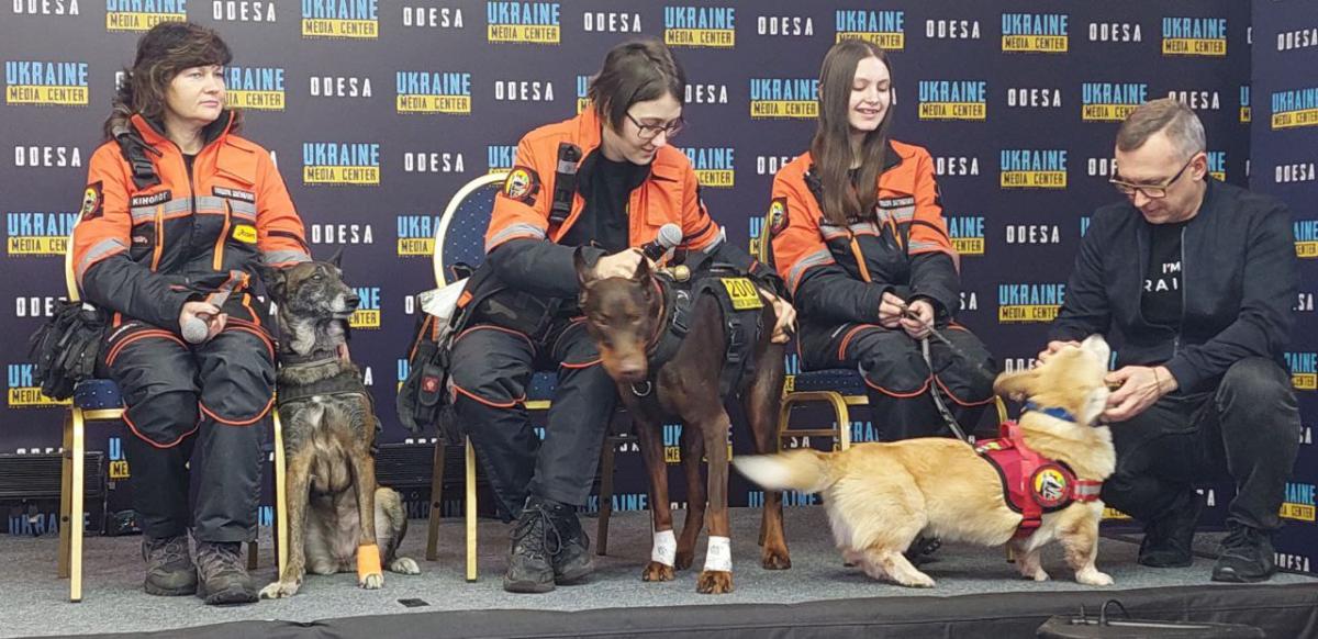 Кінолог розкрила деталі про пошук людей під завалами багатоповерхівки у Дніпрі після російської атаки / фото УНІАН, Лариса Козова