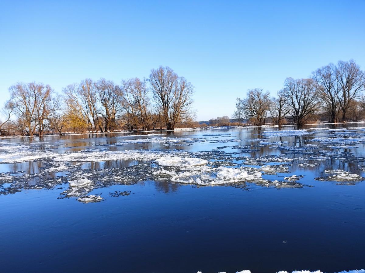 На Черниговщине произошло крупнейшее за 130 лет зимнее наводнение / фото Мезинский национальный природный парк